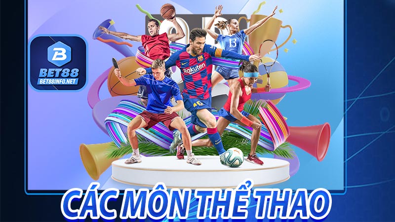 Các bộ môn thể thao phổ biến nhất