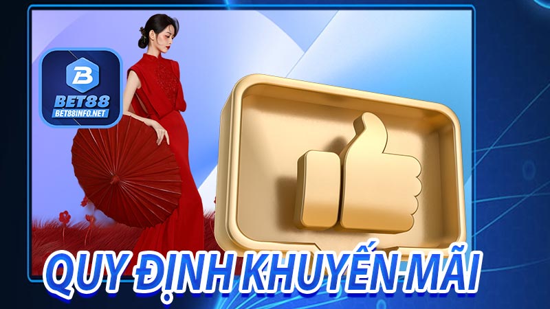 Các quy định của nhà cái về các chương trình vip